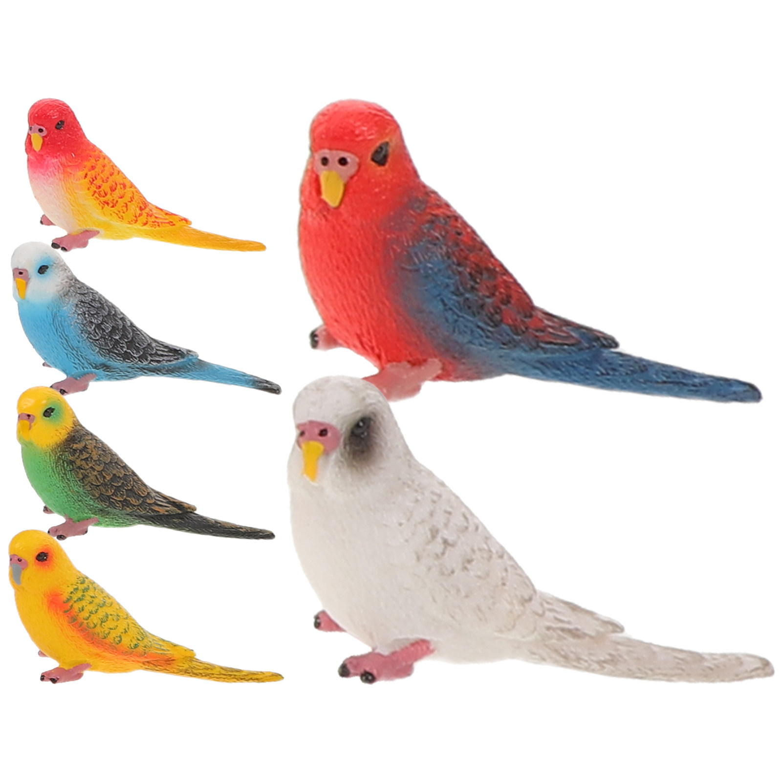 Kids Education Room - 6Pcs Vibrant Realistic Parrot Decor Plastic