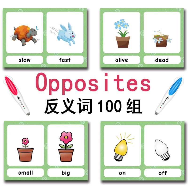 The 100 Groups Opposites Flash - Kids Education And You 评论和价格