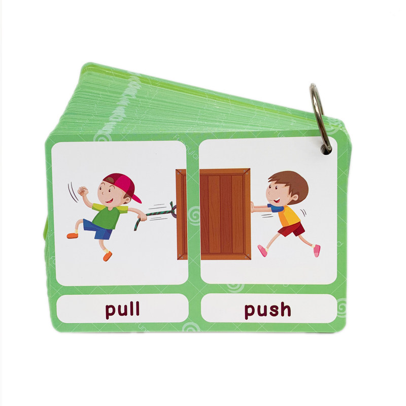 The 100 Groups Opposites Flash - Kids Education And You 评论和价格