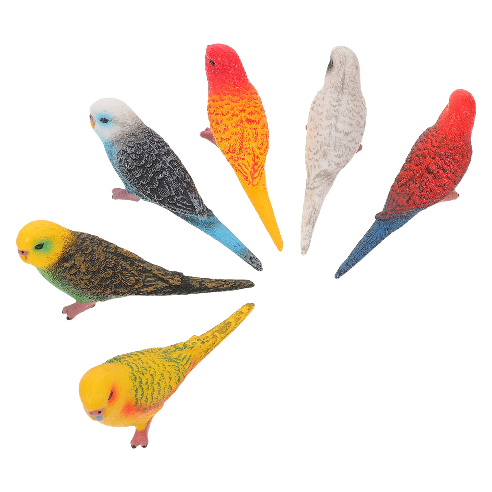 6Pcs Vibrant Realistic Parrot  - Kids Education Room 评论和价格