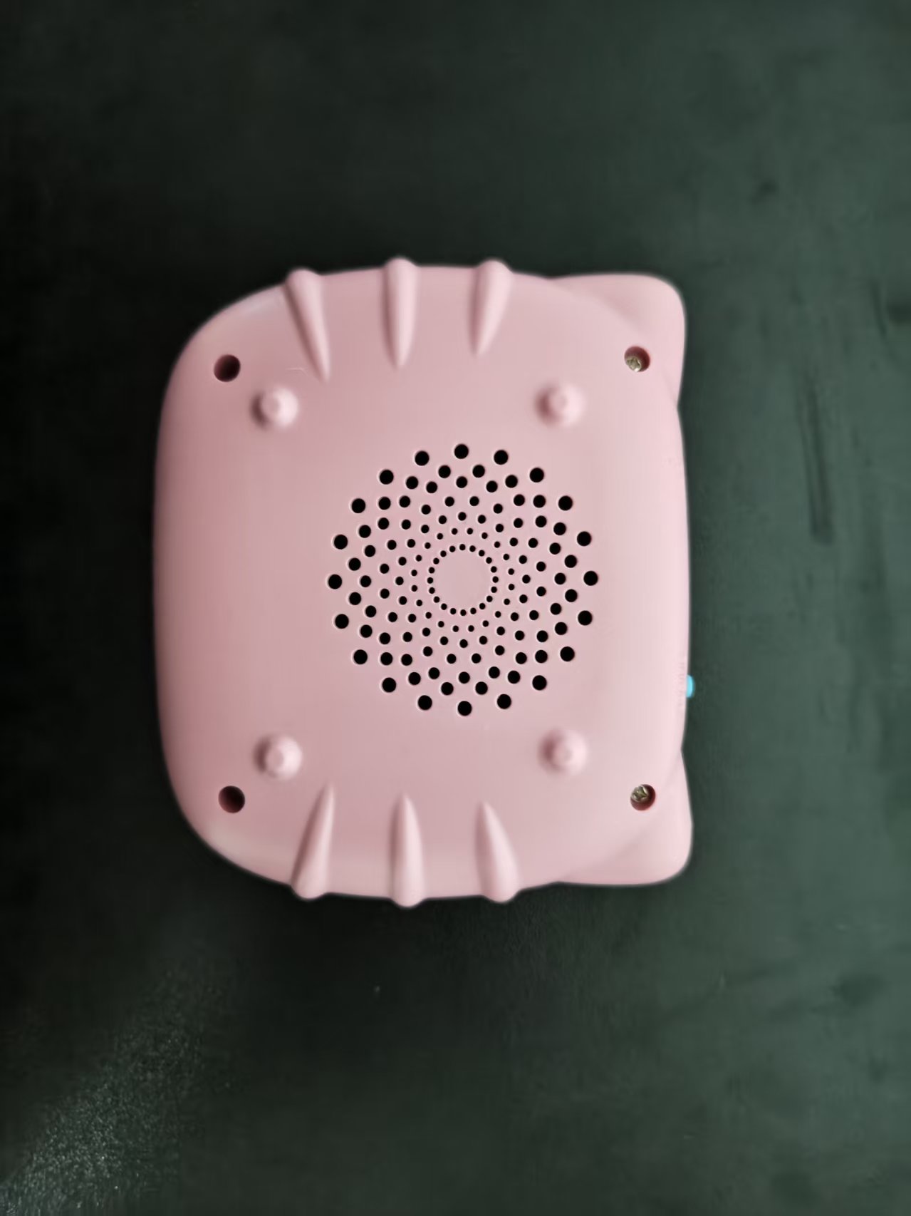 BearBoo Flash Card Reader, Kid - Kids Educational Reader 评论和价格