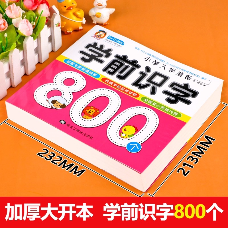 Preschool Literacy: 800 Chines - Kids Early Education Books 评论和价格