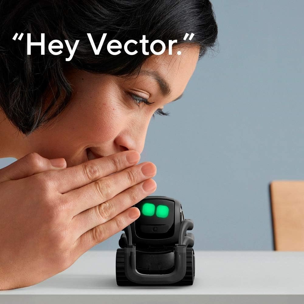 AI ChatGPT 2.0 Connected Robot - Kids Education And You 评论和价格