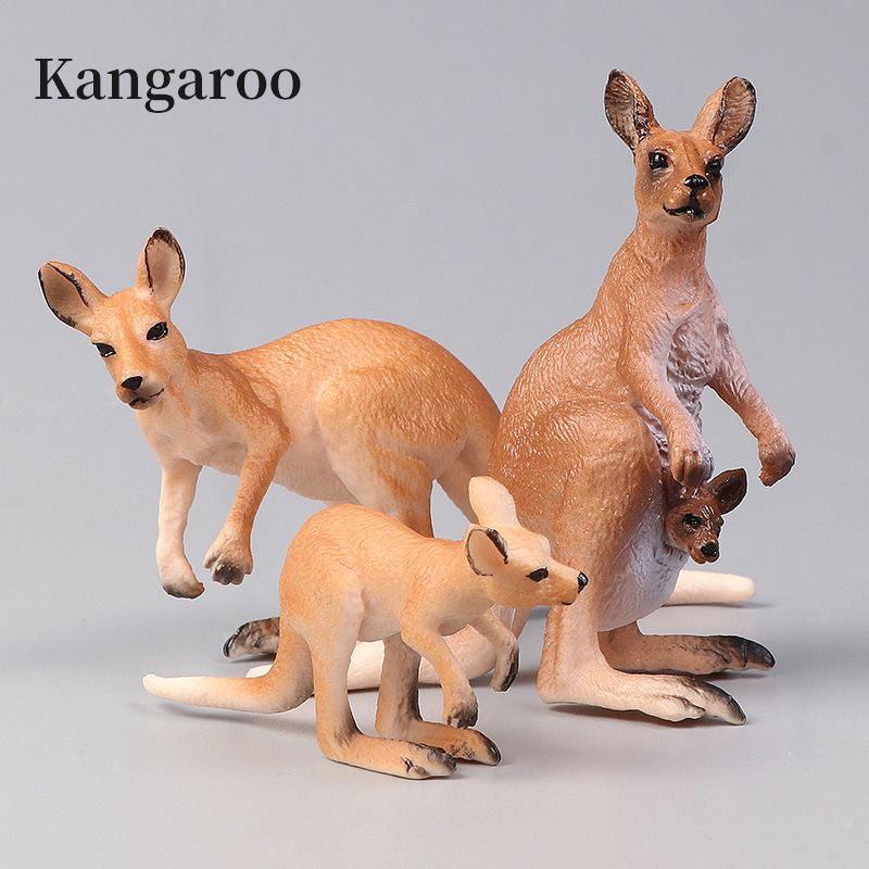 New Wildlife World Kangaroo Se - Kangaroo Kids Education 评论和价格